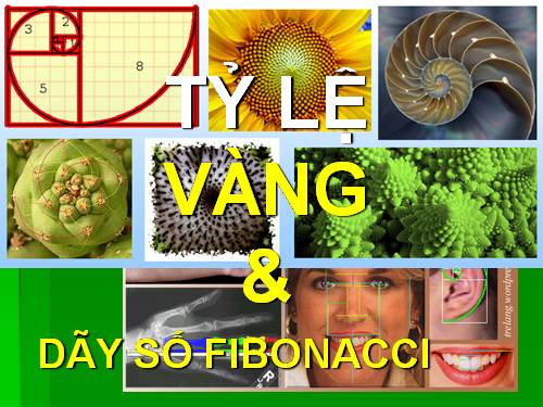 Tỷ lệ Vàng & day số Fibonacci