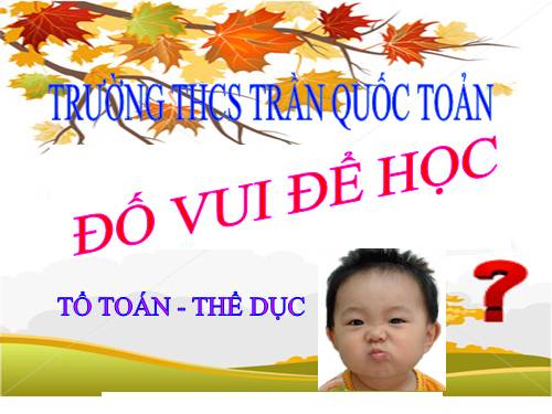 Đố Vui Để Học - Toán 9 ( rất đẹp )