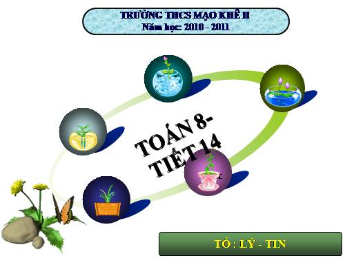 DAI SO 8-tiet 14