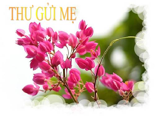 thu gui me