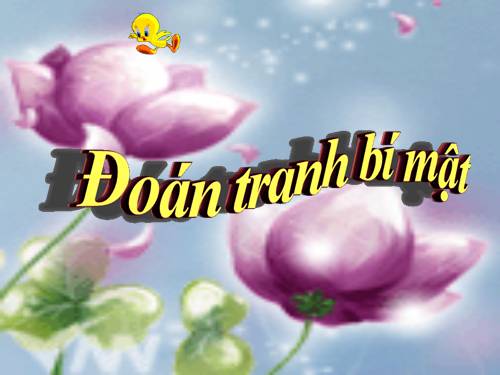 TRÒ CHƠI ĐOÁN TRANH BÍ MẬT ( TOÁN 7 )