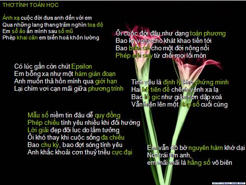 Thơ tình toán học