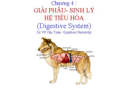 tieu hoa phan 1