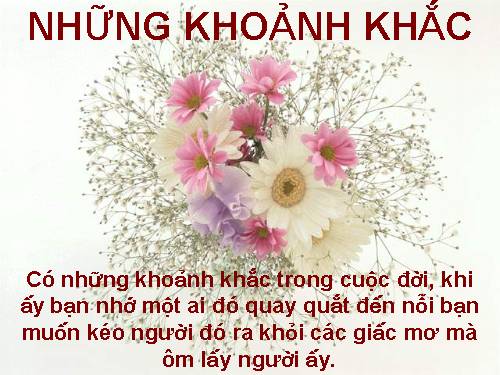 Những khoảnh khắc