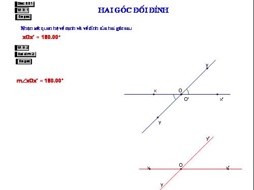 Hai góc đối đỉnh