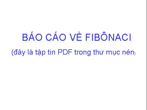 Báo cáo Fibonaci