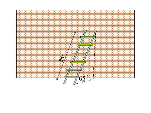 tiết 10 hình 9