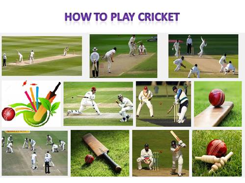 HOW TO PLAY CRICKET