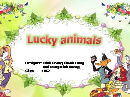 Trò chơi: Lucky Animal