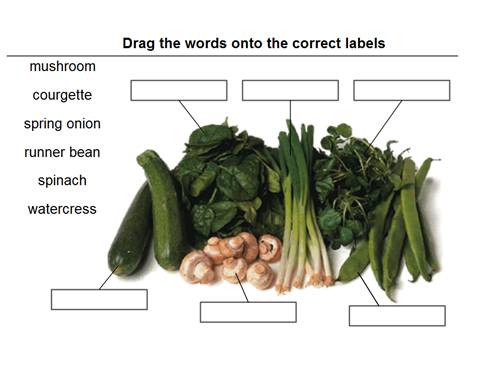 DRAG & DROP (Quizzes In Flash)