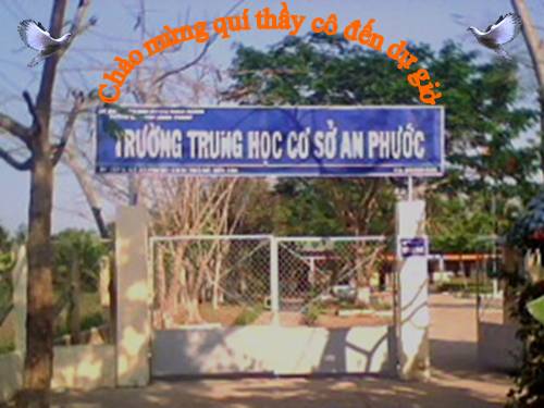 Tiếng anh 8 unit 11