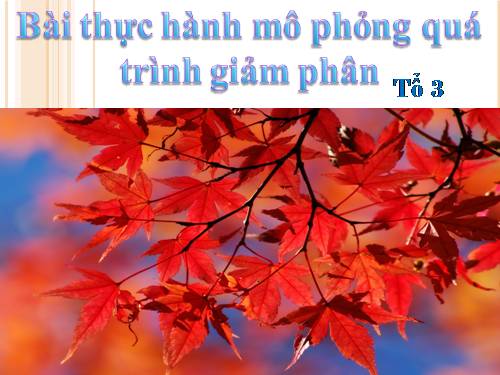 Giảm phân sinh học 10