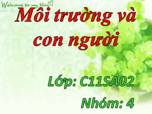 Môi trường & con người- Rừng và sự suy thoái rừng