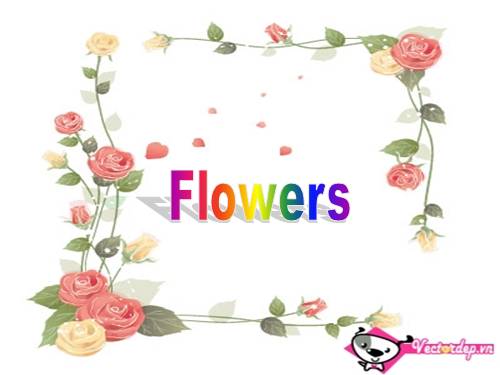 Flowers