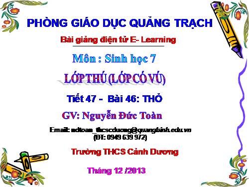 Bài 46 Thỏ Sinh 7 Bài giang diện tủ E-learning