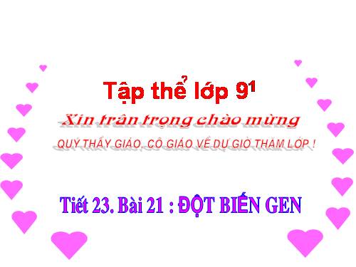 Tiết 24 Đột biến gen