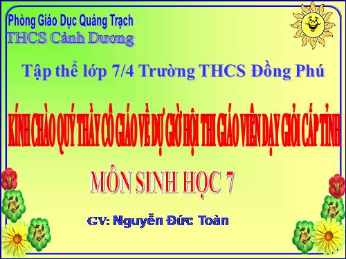 GIÁO AN SINH & THI GVG TINH