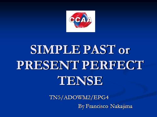 simple past and present prefect 2