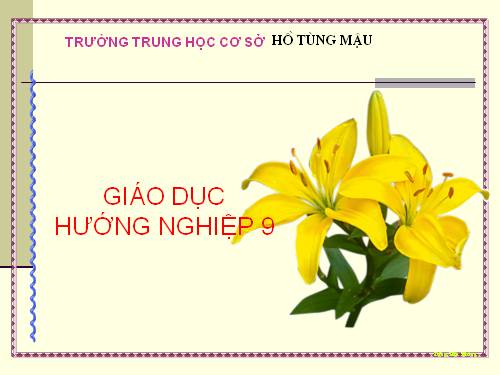 HƯỚNG NGHIỆP 9