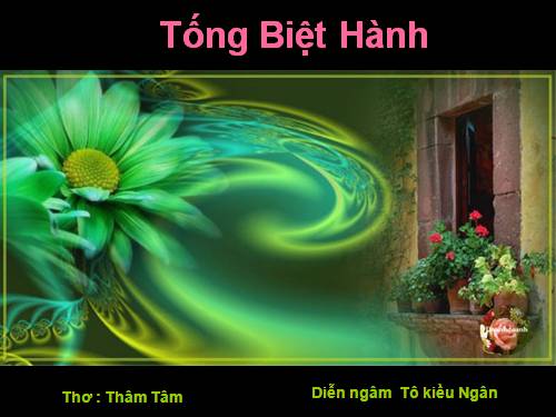 TỐNG BIỆT HÀNH - 11/11/2011