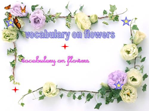 VOCABULARY ON FLOWERS