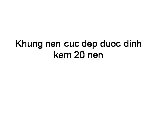 Nền khung đính kem PP 3 (2011)