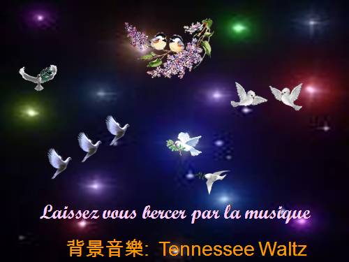 TENNESSEE WALTZ -OISEAUX MERVEILLEUX - 09/27/2011