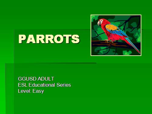 LESSONS LEARNED FROM PARROTS - ESL ADULT LEARNERS - 08/02/2011