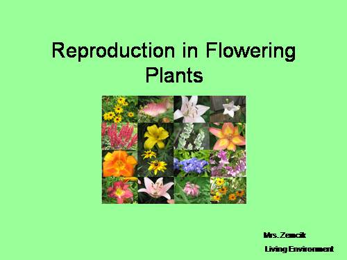 REPRODUCTION IN FLOWERING PLANTS