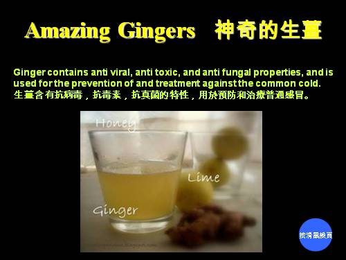 AMAZING GINGER