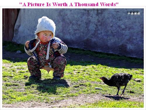 The photo won Year 2011 Taipei First Prize Photography Award.