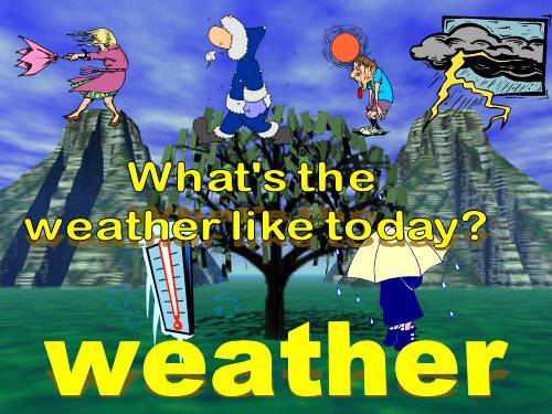 WHAT'S THE WEATHER LIKE?