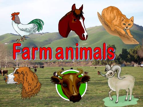 FARM ANIMALS