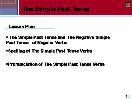 Simple Past Tense