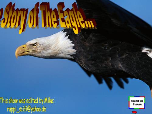 THE REBIRTH OF  AN EAGLE