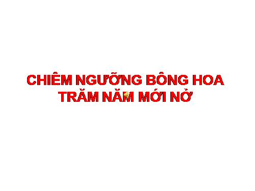 thử nghiệm tạm thời