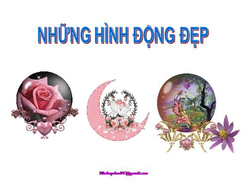 Nhung hinh dong dep