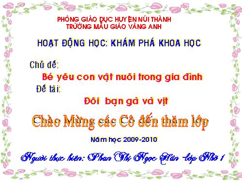 ĐÔI BẠN GÀ VÀ VỊT