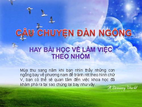 CÂU CHUYỆN VỀ ĐÀN NGỖNG