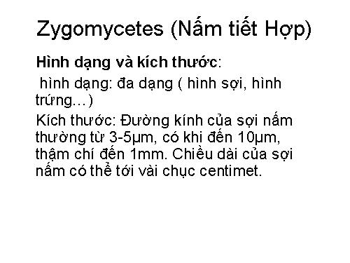 ngành nấm