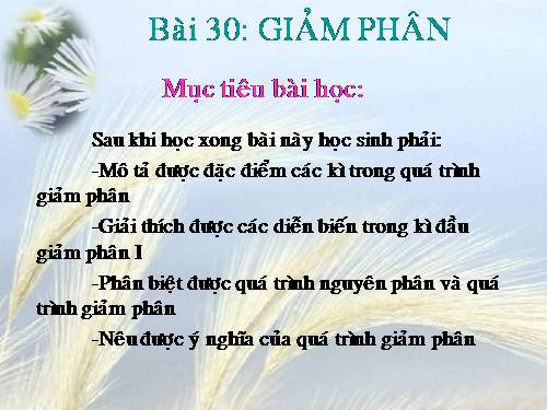 BÀI 30: GIẢM PHÂN