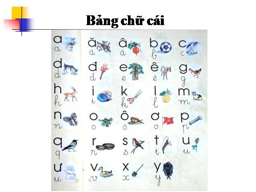 Bang chu cai sinh dong