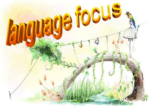 U12 e 11 NC language focus