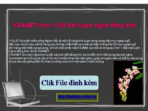 VOANET_ Hơn 1.000 bài luyện nghe tiếng Anh