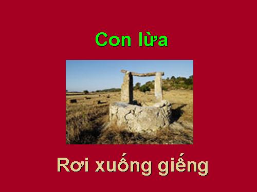 Con lua roi xuong gieng