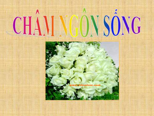 cham ngon song