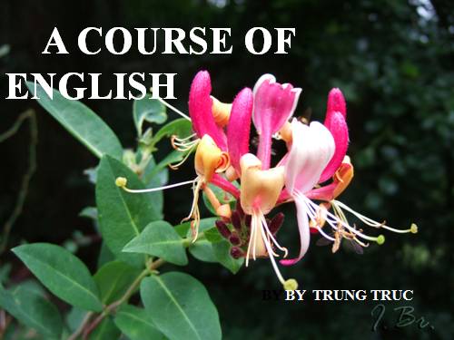 A course of English