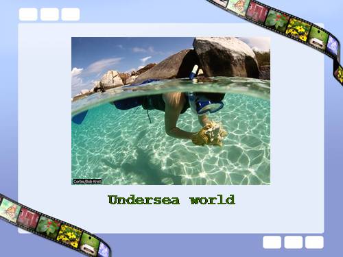 undersea world