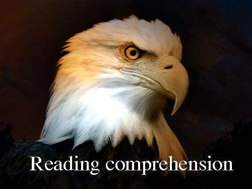 READING COMPREHENSION