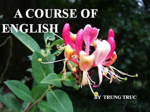 A course of English